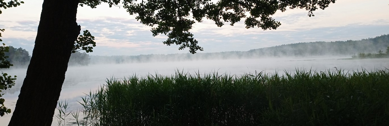 Partęczyny